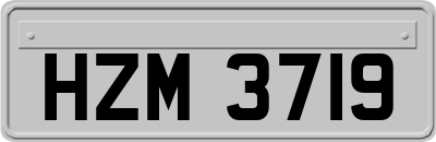 HZM3719