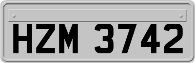 HZM3742