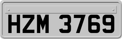 HZM3769