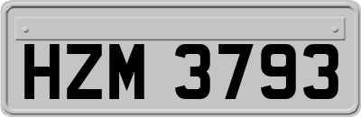 HZM3793