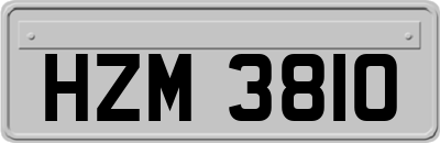 HZM3810