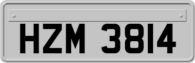 HZM3814