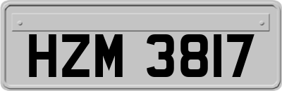 HZM3817