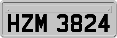 HZM3824