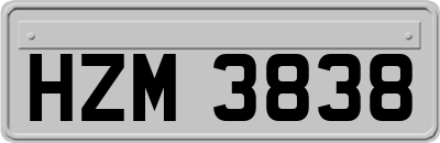 HZM3838