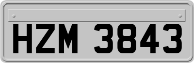 HZM3843