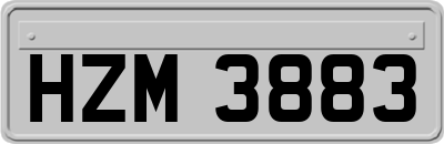 HZM3883