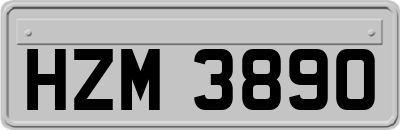 HZM3890