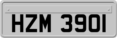 HZM3901