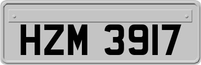 HZM3917