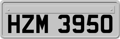 HZM3950