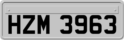 HZM3963