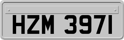 HZM3971