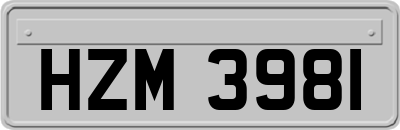 HZM3981