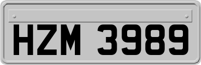 HZM3989