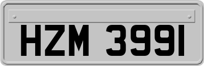HZM3991
