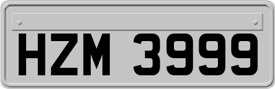 HZM3999