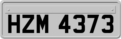 HZM4373