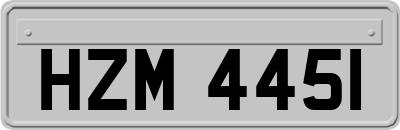 HZM4451