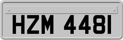 HZM4481