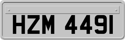 HZM4491