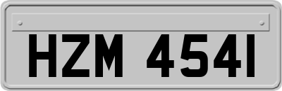 HZM4541