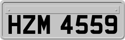 HZM4559