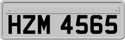 HZM4565