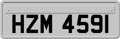 HZM4591