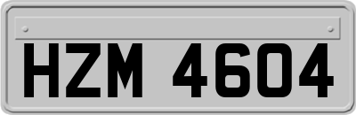 HZM4604