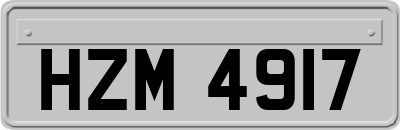 HZM4917