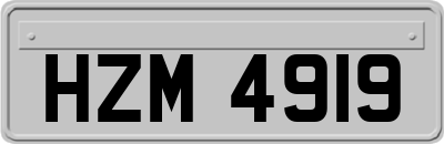 HZM4919