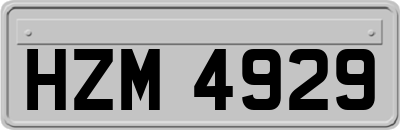 HZM4929