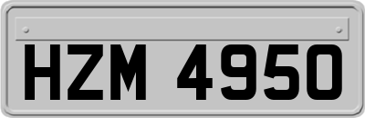 HZM4950
