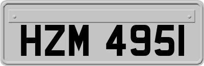 HZM4951
