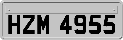 HZM4955