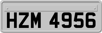 HZM4956