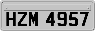 HZM4957