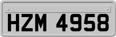 HZM4958