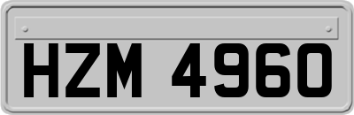 HZM4960