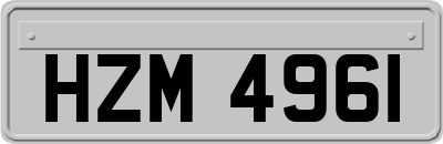 HZM4961