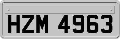 HZM4963