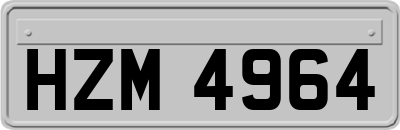 HZM4964