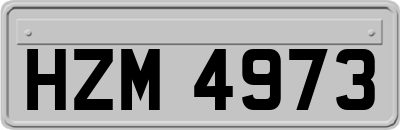 HZM4973