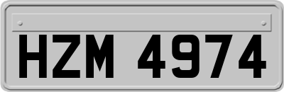 HZM4974