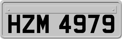 HZM4979