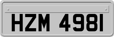 HZM4981