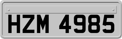 HZM4985