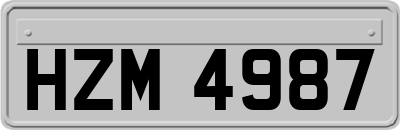 HZM4987