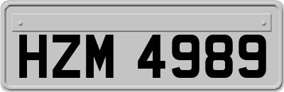 HZM4989